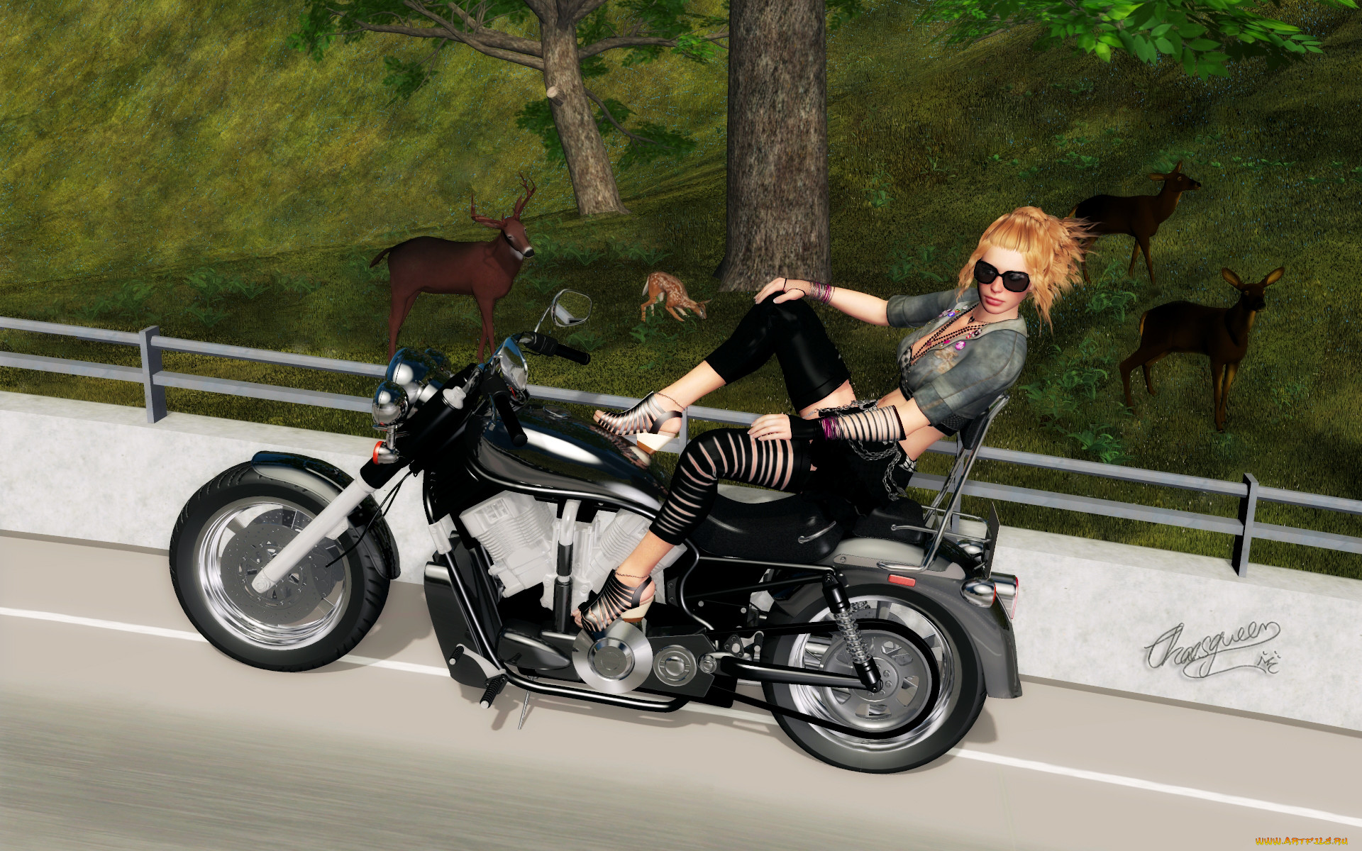 3 , -,  , people- car ,  moto, , , 